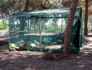 41 suspects detained in anti-terror operation in Turkeys south