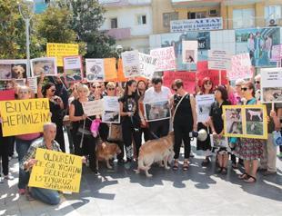 Activists protest alleged animal poisoning in western Turkey