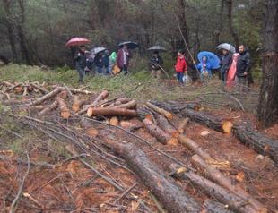 Wind power plant project halted in Aegean village after protests