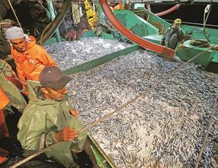 Turkey’s fishermen cast lines as seasonal fishing ban lifted