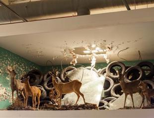 A city-wide exhibition for everyone: 14th Istanbul Biennial