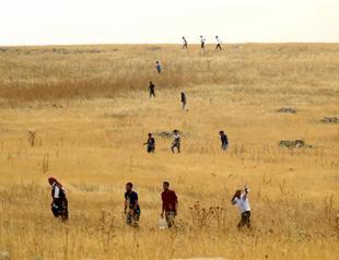 Council of Europe urges immediate access to Cizre by independent observers