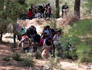 VIDEO: 130 Syrian migrants seeking seasonal work found in Aegean woods
