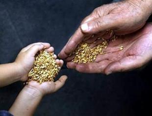 Seed bartering festival in İzmir aims to revive local planting richness