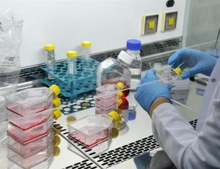 Turkey’s top science body to produce biosimilar cancer drugs
