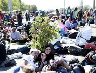 Neighboring states not taking refugees: Turkish minister