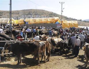 World Muslims set to celebrate Feast of Sacrifice