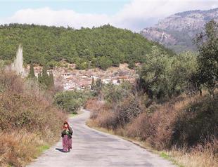 Popular national park faces coal-ash cloud threat