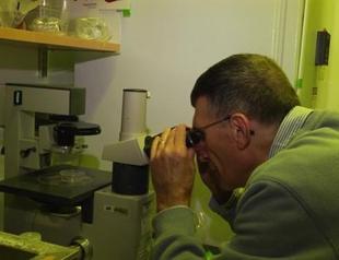 Turkey should put more weight into science: Nobel laureate