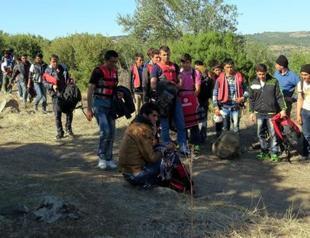 Turkey captures over 500 migrants in multiple locations
