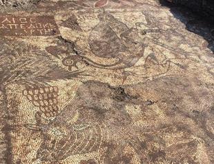 Illegal digs unearth mosaics