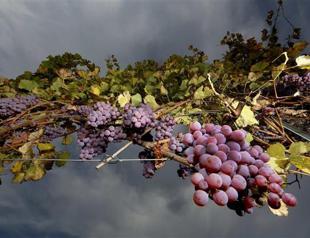 Access to Accessibility