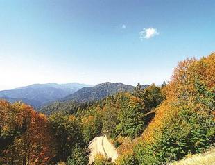 Council of State sued for opening vast area in north to construction