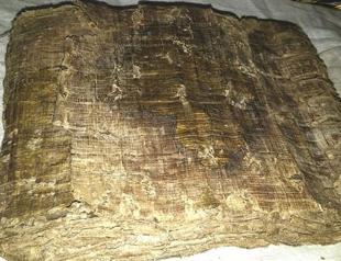 Bible to undergo carbon test