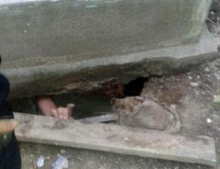 Police fire tear gas at grave robber trapped ‘in search of gold teeth’