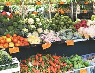 World food commodity prices plunge to lowest level in seven years