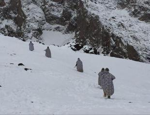 Turkish military releases details of anti-PKK offensive