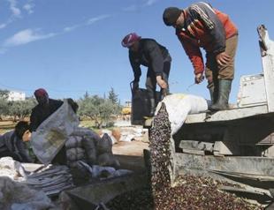 Purchasing power in Syria drops 80 percent since war: Report