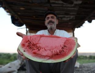 Farmers stand guard to protect watermelons before ‘beauty contest’ in Turkey’s southeast