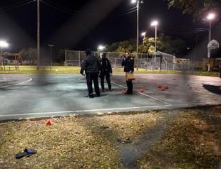 Sixteen people injured in New Orleans park shooting