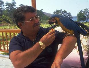 The economic transformation of Turkey since 1980