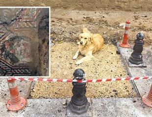 Asphalt over Roman mosaic removed