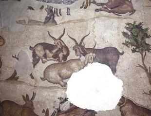 Centuries-old mosaics to be restored