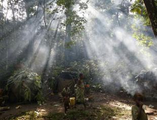 At climate talks, African nations pledge to restore forests