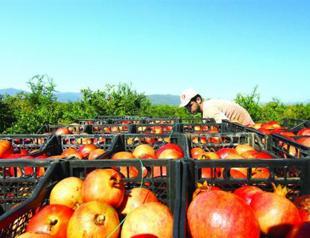 Russian risk pressing Turkey’s economy