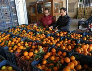 Russian sanctions on Turkey to have limited effect: EBRD