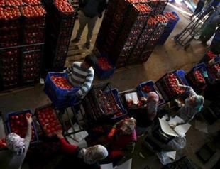 Russia’s sanctions on Turkey ‘against world trade agreement’