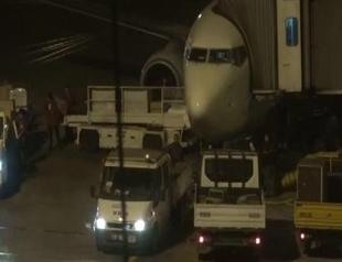 Adventurous dog hit by plane on Atatürk Airport runway