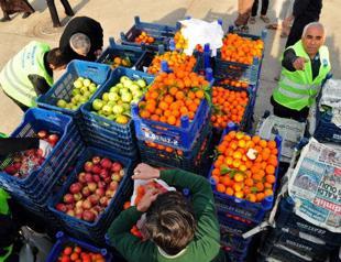 9 mln tons of fresh fruits and vegs wasted due to poor harvest, storage conditions: Association
