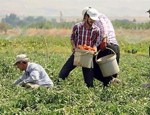 Russian jokes turn sour as the ‘tomato effect’ hits the Aegean