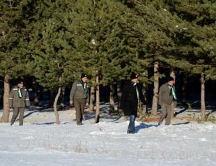 Rangers in eastern Turkey try to prevent New Year’s Day tree-cuttings