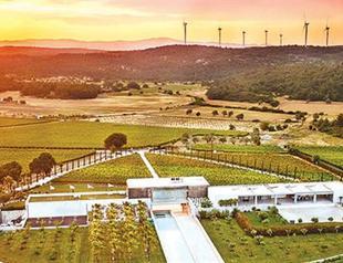 Urla winery reviving centuries-old tradition