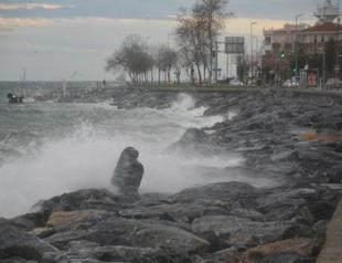 Strong winds hit flights, ferry services in Istanbul