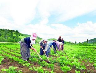 Turkey worst in OECD for unregistered economy: Study