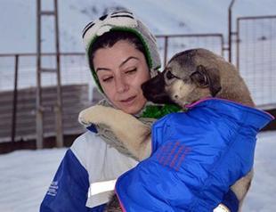Bitlis’ dogs dressed up against cold