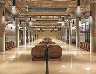Turkish wine cellar named among best in the world