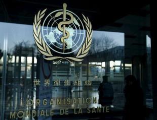 Zika virus seen spreading to nearly all countries in the Americas: WHO