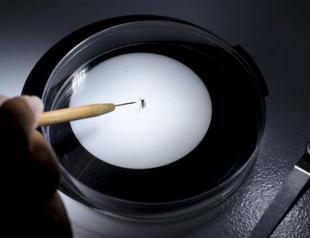 Denmark resident tests positive for Zika virus: DR