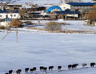 IFAD-supported investment ‘improves quality of life of rural poor in Turkey’