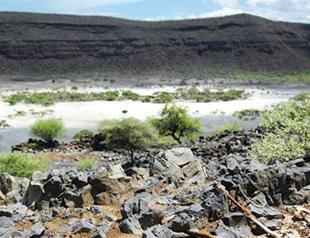 Millions in Ethiopia facing worst drought for decades: UN