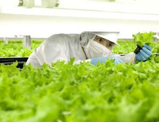 World’s first ‘robot run’ farm to open in Japan