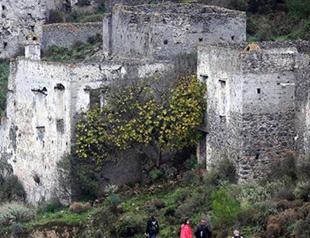 Muğlas historic structures threatened by trees, plants