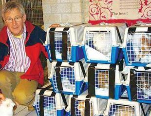 Saving Syrian strays, one adoption at a time