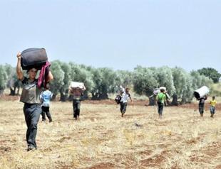 Number of new firms opened by Syrians in Turkey on rise