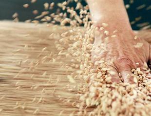 Russian grain exports to remain high in March