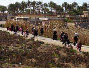 Clashes in jihadist-held Iraq city halt after residents seized